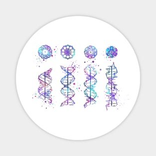 DNA Helix Colorful Watercolor Magnet
